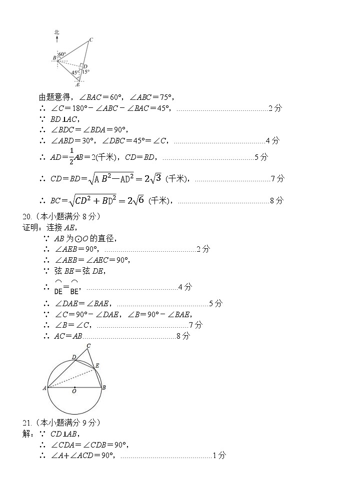 山东省菏泽市单县2024-2025学年九年级上学期11月期中数学试题02