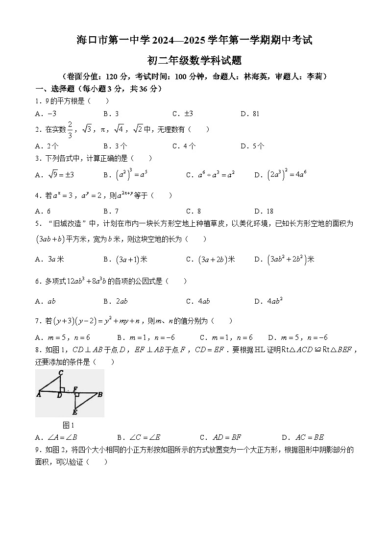 海南省海口市第一中学2024-2025学年八年级上学期期中数学试卷(无答案)第1页