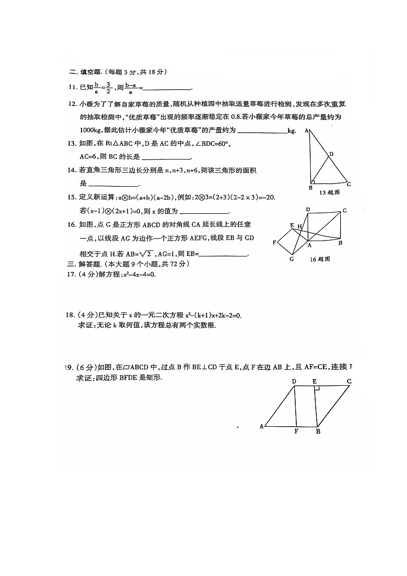 广东省河源市龙川县2024-2025学年九年级上学期数学期中监测试卷第2页