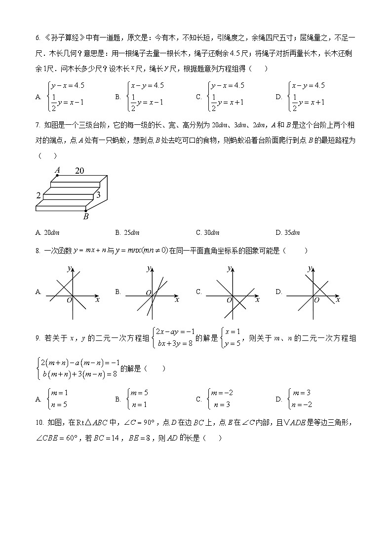 广东省深圳市蛇口育才教育集团2023-2024学年八年级上学期期中数学试题（原卷版）第2页