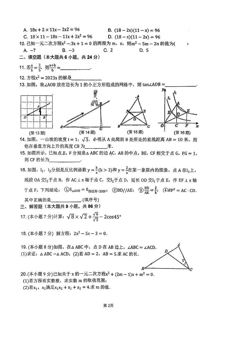 福建省惠安2023-2024学年九年级上学期11月期中数学试题第2页