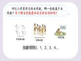 浙教版七年级上册数学1.1从自然数到有理数课件