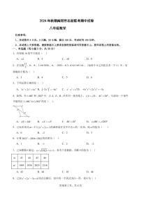 河南南阳名校联考2024年八年级上学期11月期中数学试题（含答案）