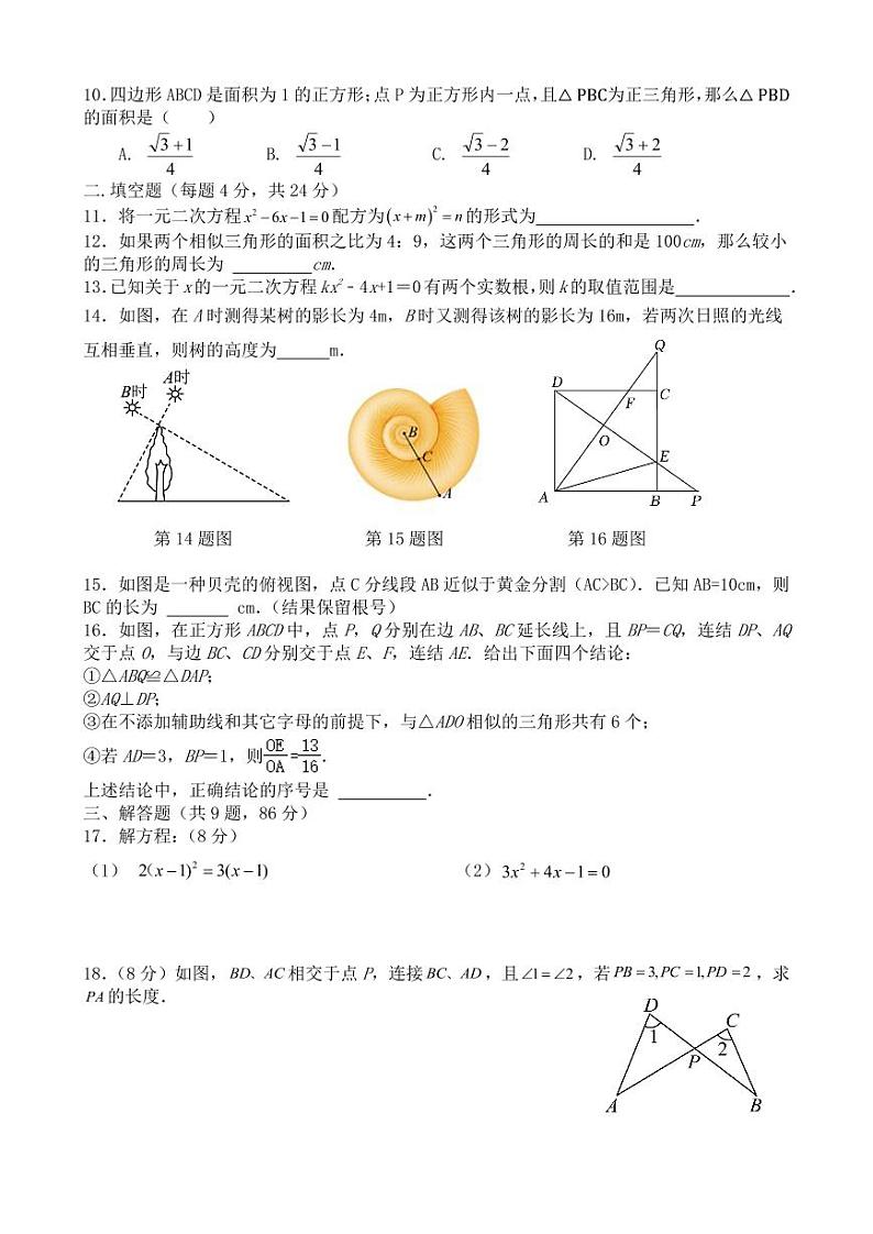 福建省宁德市古田县2024-2025学年九年级上学期期中考试数学试题第2页