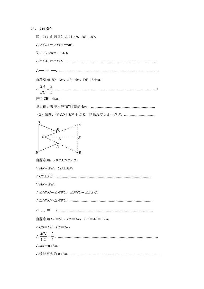 福建省漳州市第一中学芝山校区2024-2025学年九年级上学期数学期中试卷03
