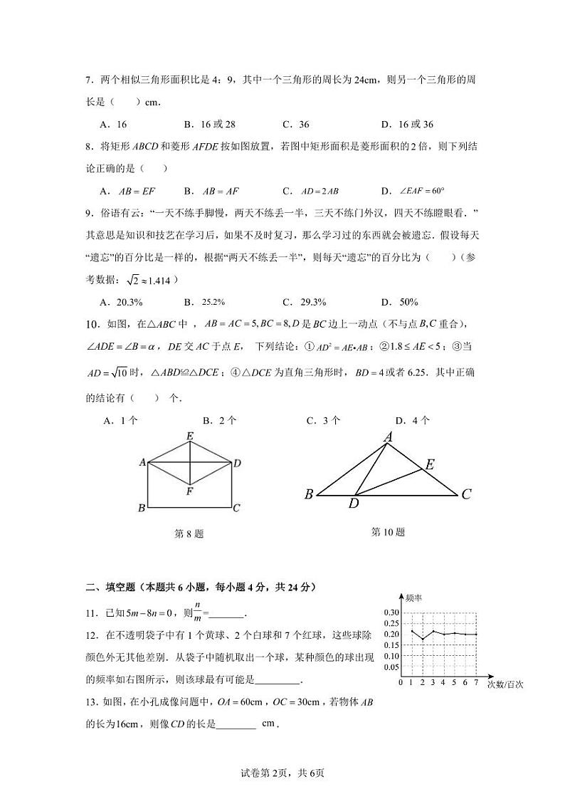 福建省漳州市第一中学芝山校区2024-2025学年九年级上学期数学期中试卷02