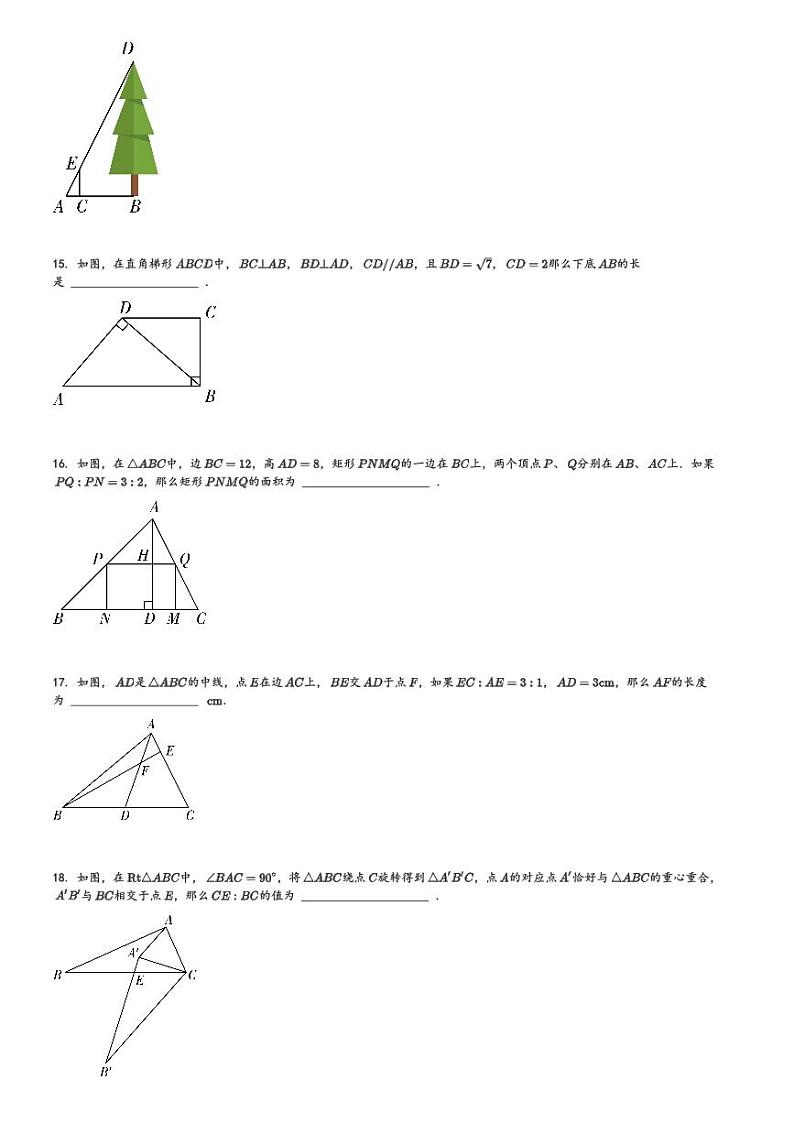 2024～2025学年10月上海普陀区初三上学期月考数学试卷[原题+解析版]第3页