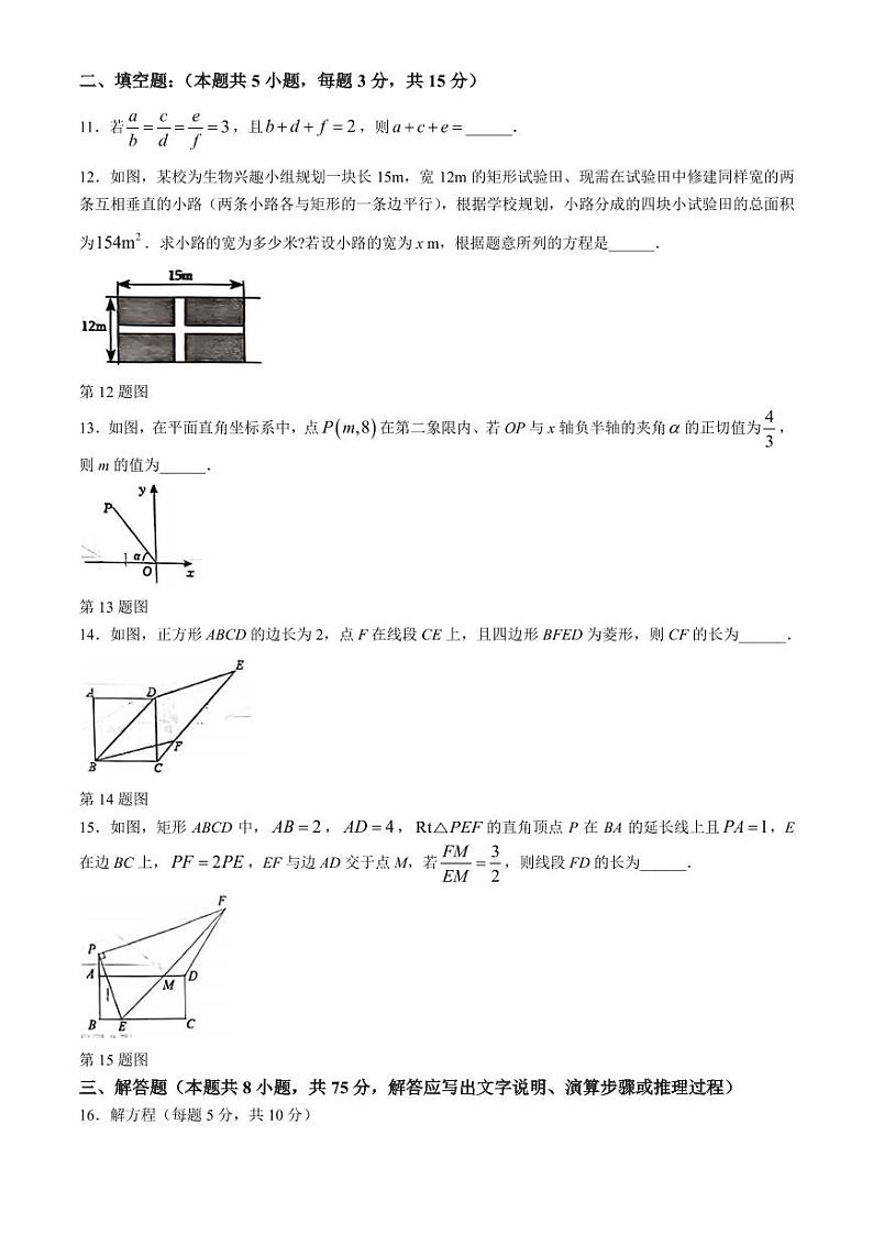 辽宁省沈阳协作体2024年九年级上学期期中数学试题+答案03
