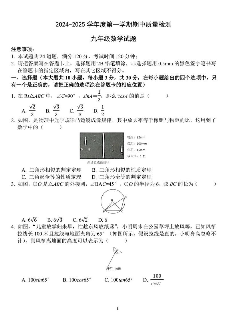山东省菏泽市单县2024～2025学年九年级上学期期中数学试题（含答案）第1页