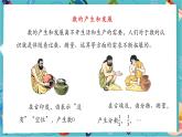 【新教材】人教版七年级上册数学1.1正数和负数（第1课时）（课件+教案+同步练习）
