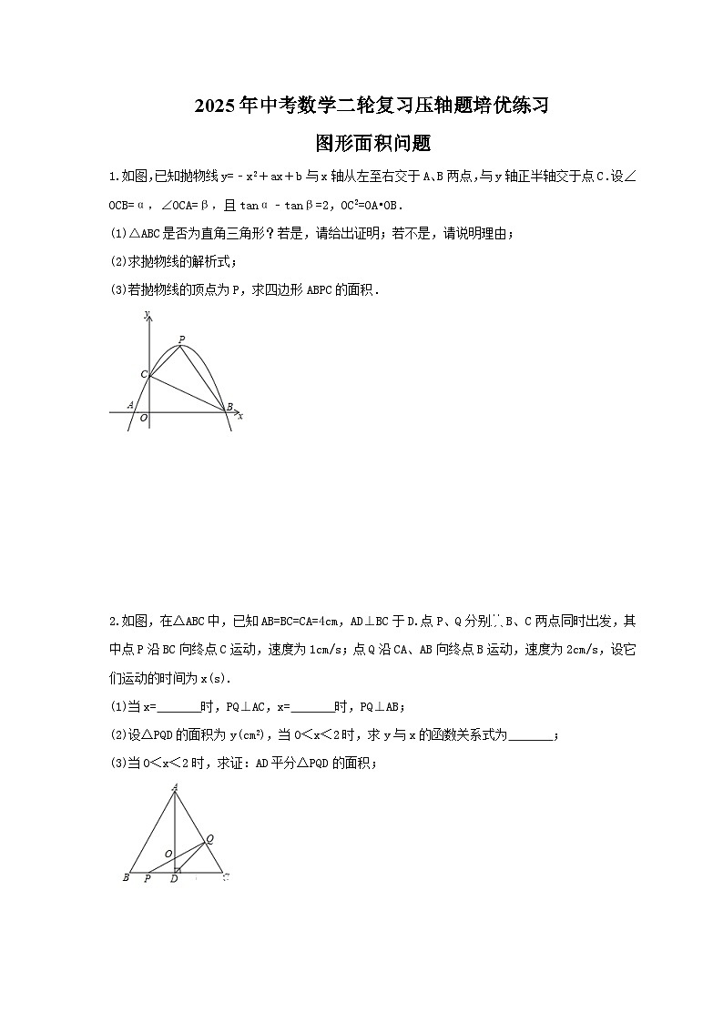 2025年中考数学二轮复习压轴题培优练习 图形面积问题（含答案）第1页