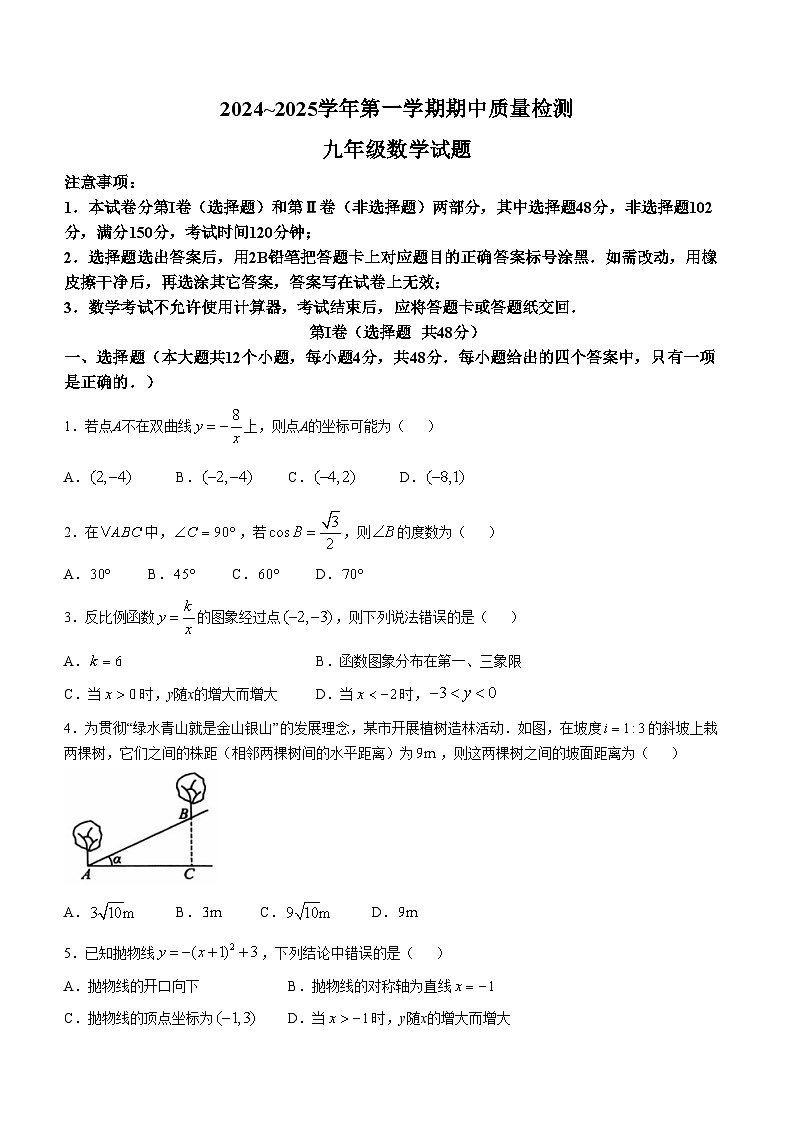 山东省泰安市东平县2024-2025学年九年级上学期11月期中考试数学试题第1页