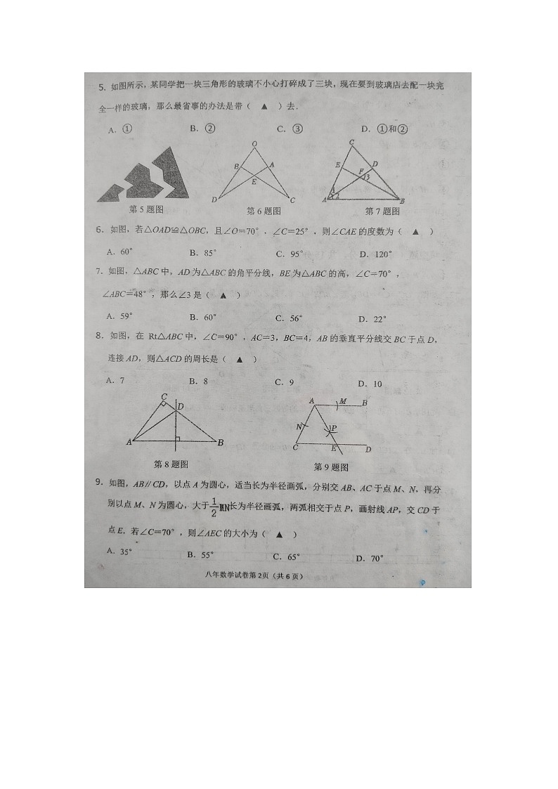 辽宁省抚顺市新宾满族自治县2024-2025学年八年级上学期11月期中数学试题第2页