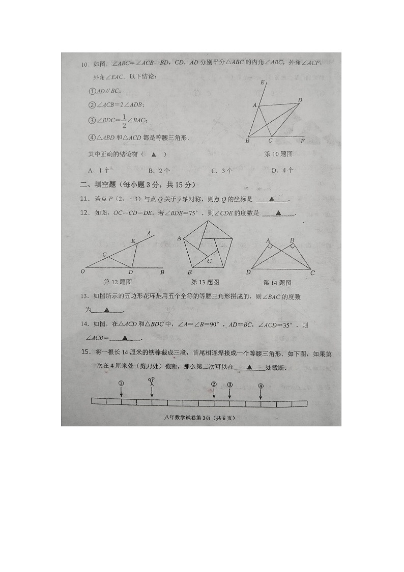 辽宁省抚顺市新宾满族自治县2024-2025学年八年级上学期11月期中数学试题第3页