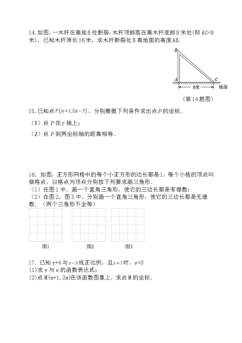 江西省吉安市十校联盟2024-2025学年上学期期中考试八年级数学试题03