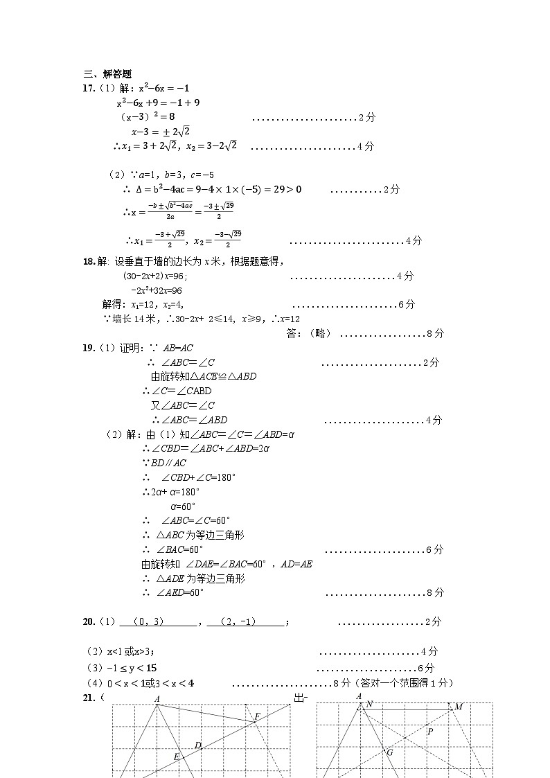 湖北省武汉市蔡甸区2024-2025学年九年级上学期期中数学试卷02