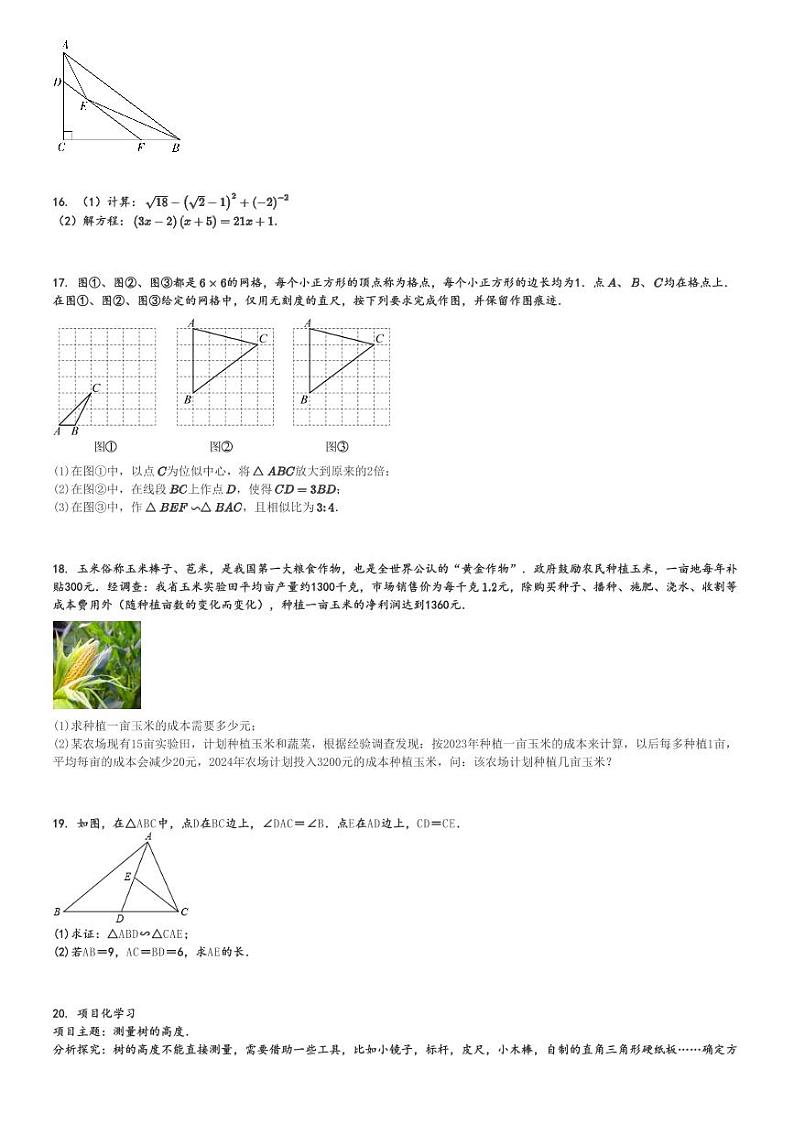 2024～2025学年山西阳泉初三上学期期中数学试卷(部分学校)[原题+解析版]第3页