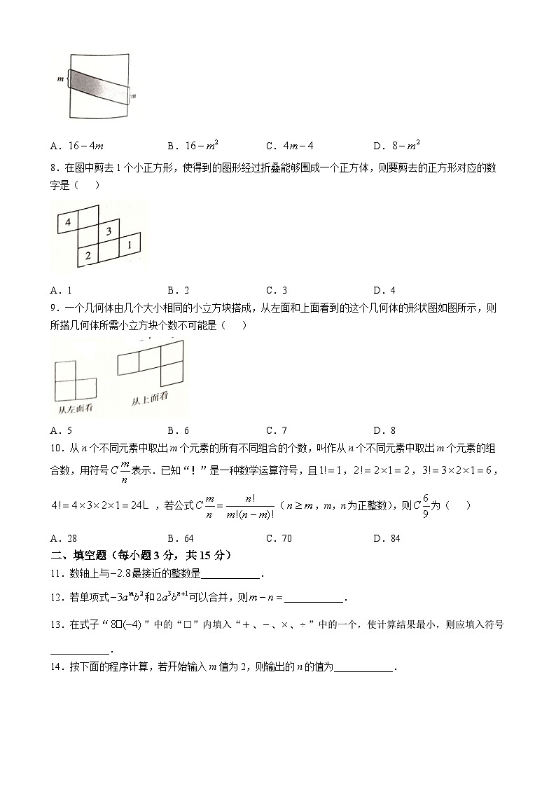 河南省郑州市新郑市2024-2025学年七年级上学期11月期中考试数学试题(无答案)第2页