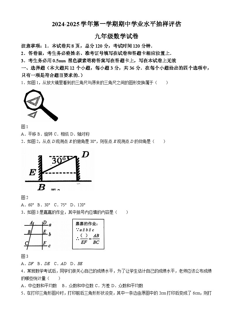 河北省唐山市迁安市2024-2025学年九年级上学期11月期中数学试题01