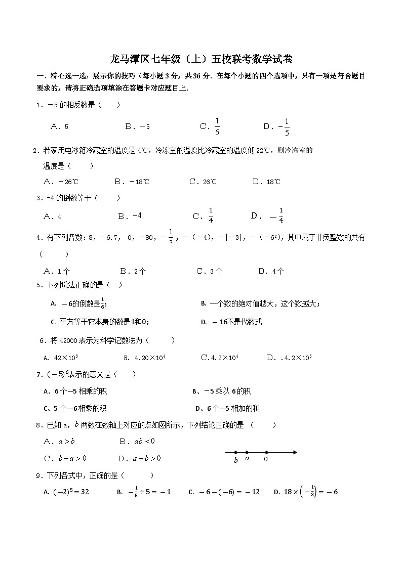 四川省泸州市龙马潭区五校联考2024—-2025学年七年级上学期11月期中数学试题01