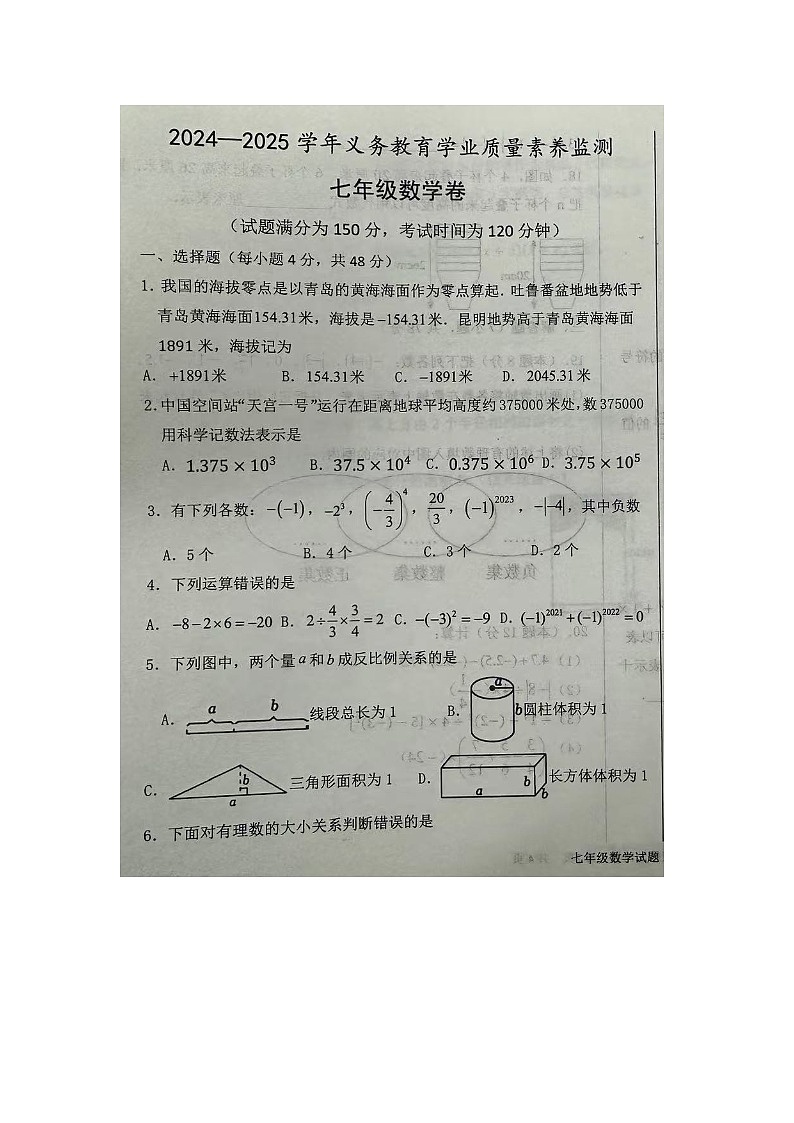 山东省德州市陵城区2024-2025学年七年级上学期期中数学试题第1页