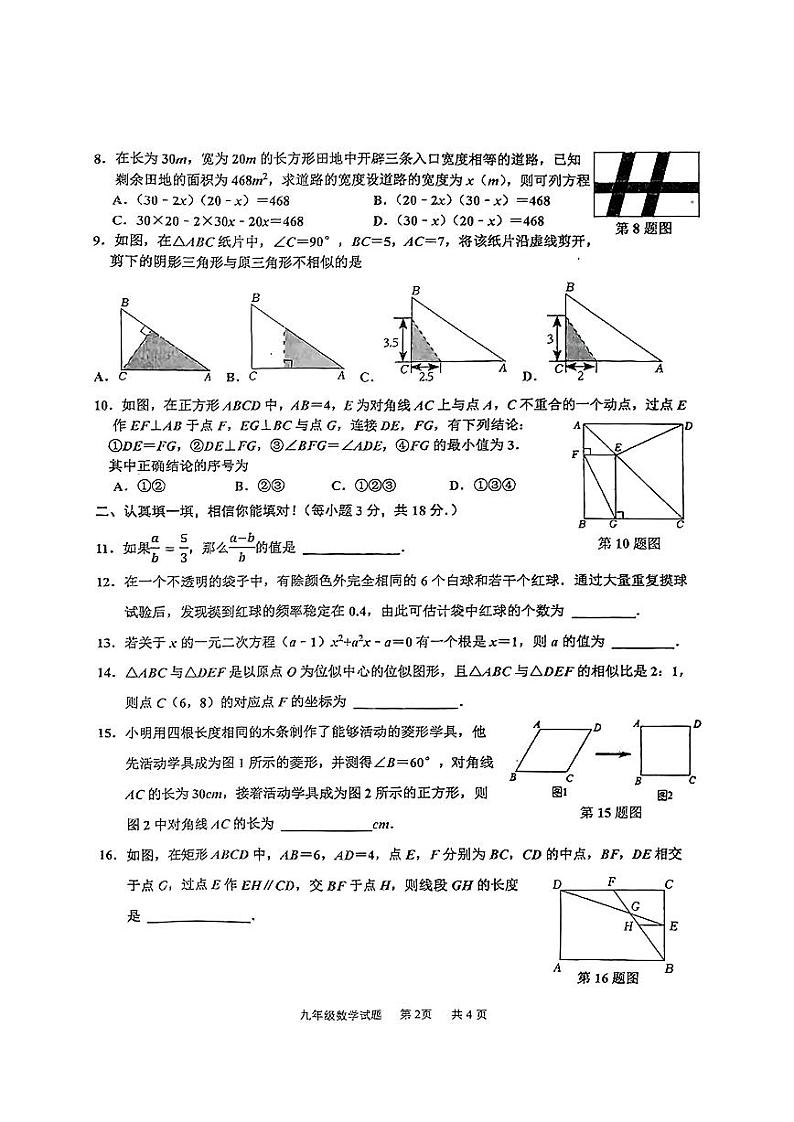 山东省枣庄市市中区2024——2025学年九年级上学期期中考试数学试题第2页
