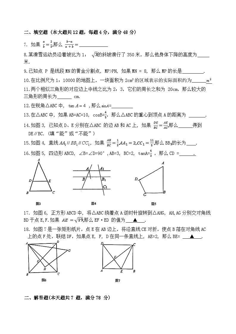 2024-2025学年上海市宝山华耀初三期中考试数学试卷第2页