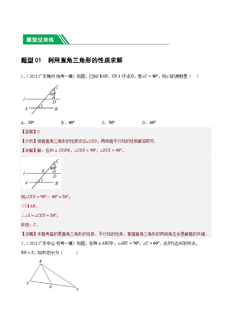 2025年中考数学一轮复习题型分类练习第19讲 直角三角形（解析版）第2页