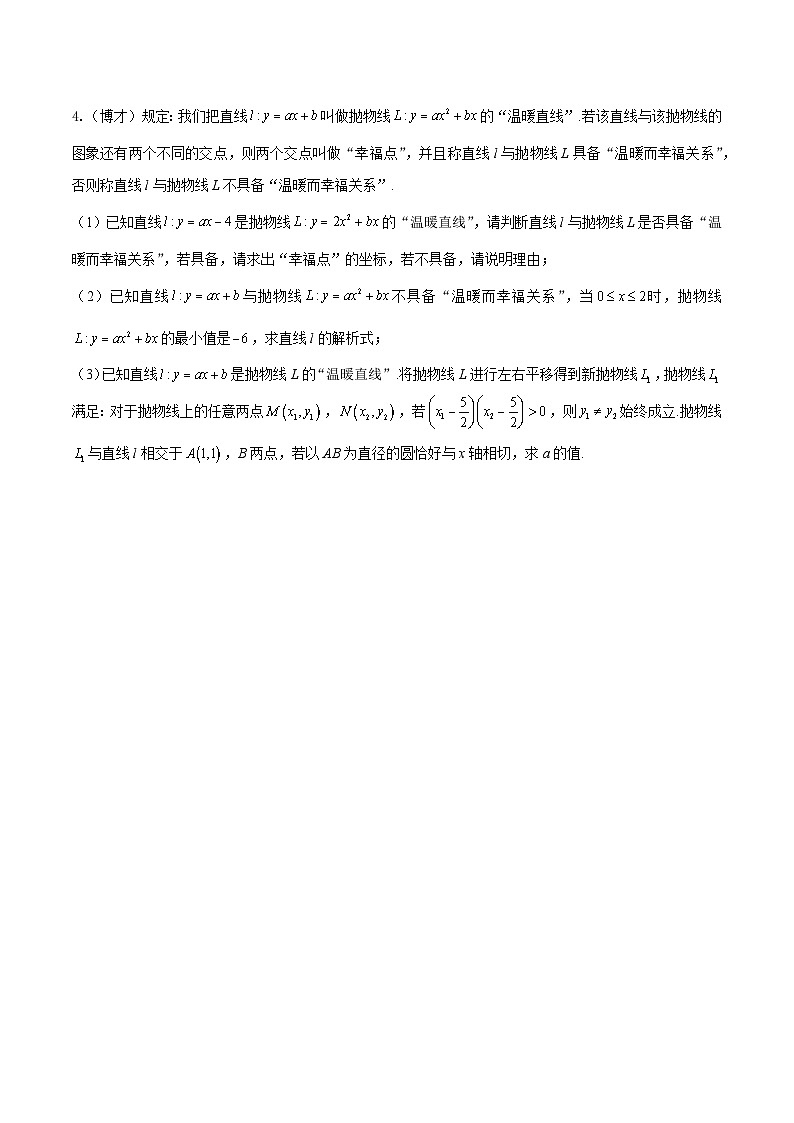 2025年中考数学二轮培优重难点题型分类练习专题03 新知识学习型&新定义问题之求函数的解析式（原卷版）第3页