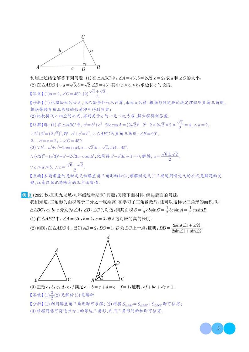 解直角三角形之新定义模型（解析版）第3页
