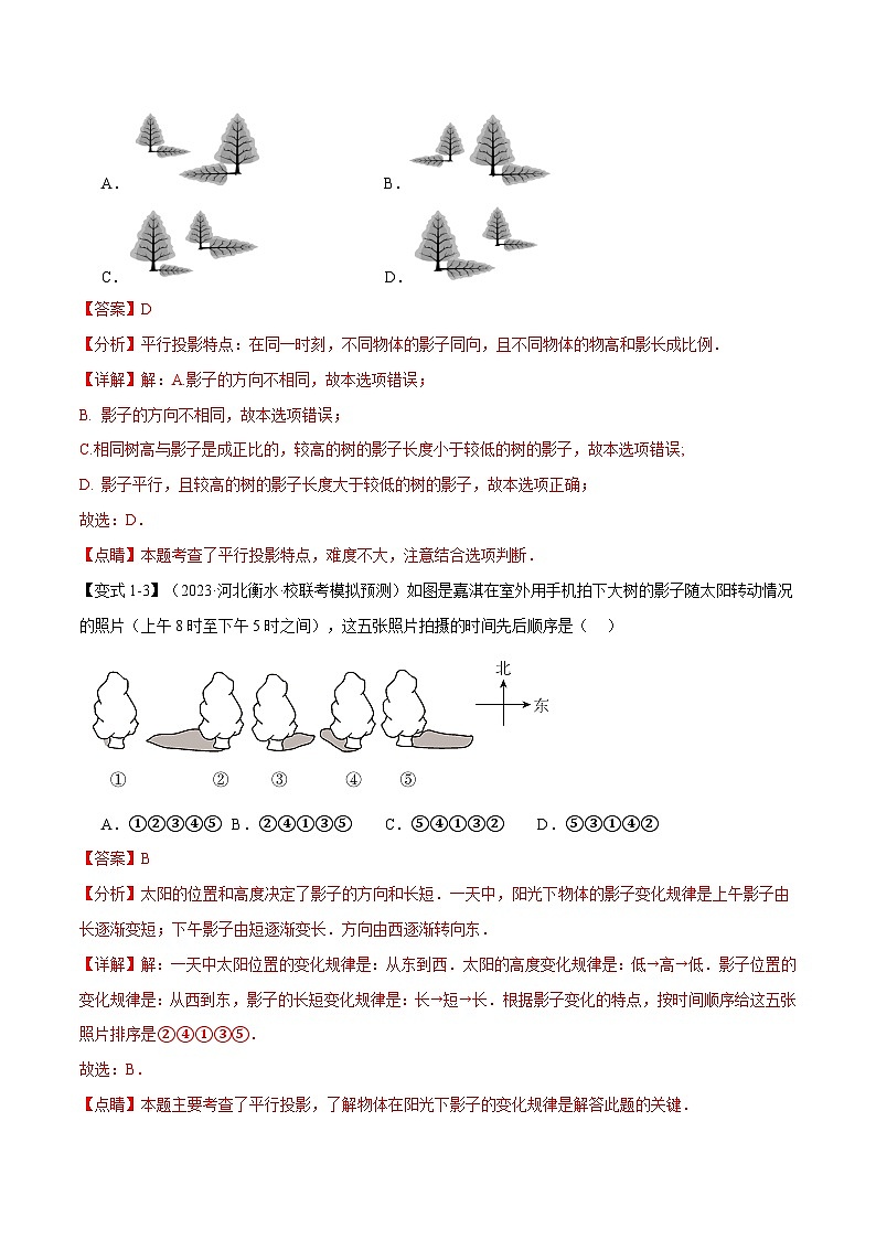 2025年中考数学一轮复习题型分类练习专题36 投影与视图【十四大题型】（解析版）第3页