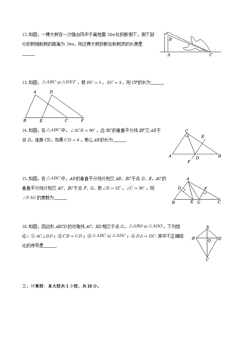 江苏省杭州市2023-2024学年八年级上学期期中数学模拟试卷第3页