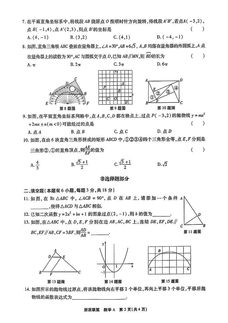 浙江省浙派联盟2024-2025学年九年级上学期期中考试数学试卷第2页