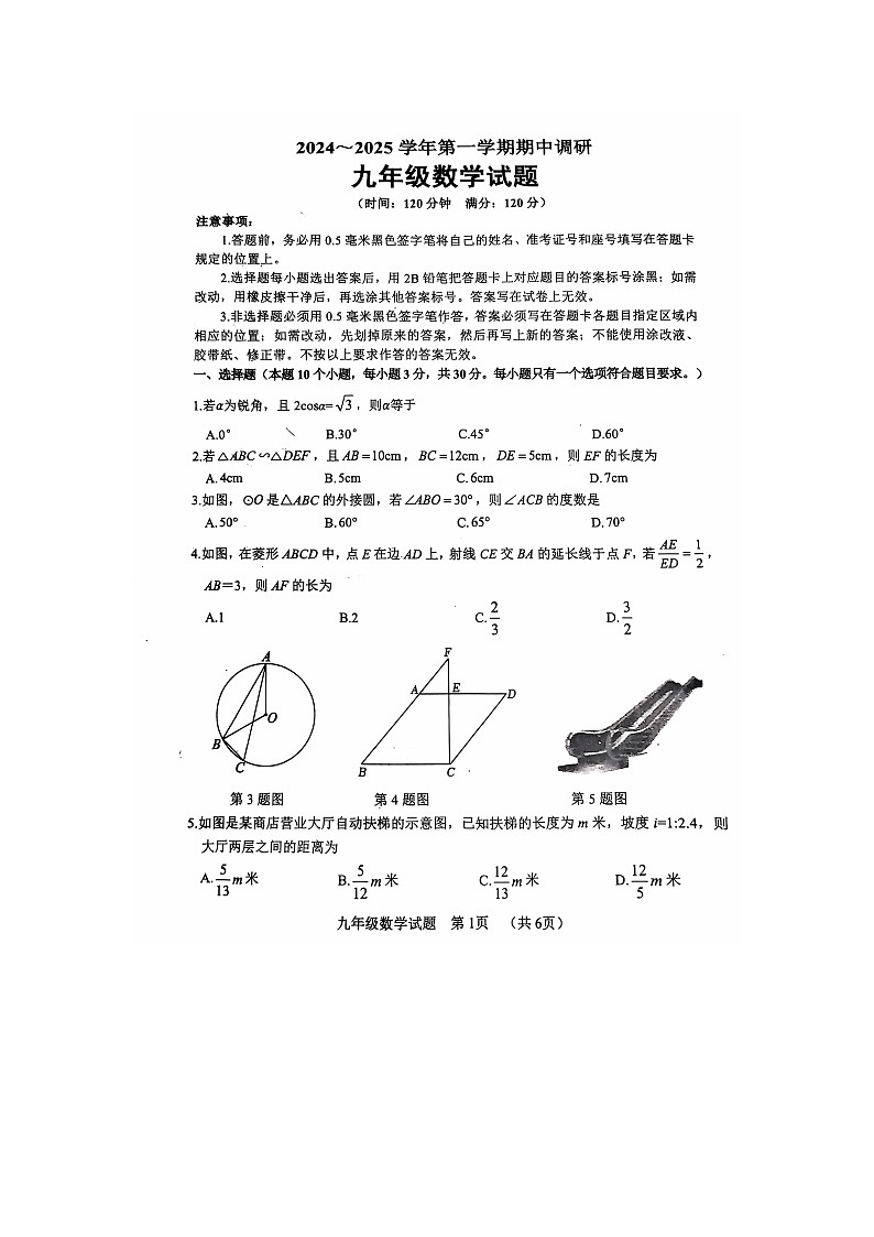 山东省聊城市东阿县2024-2025学年九年级上学期期中考试数学试题01
