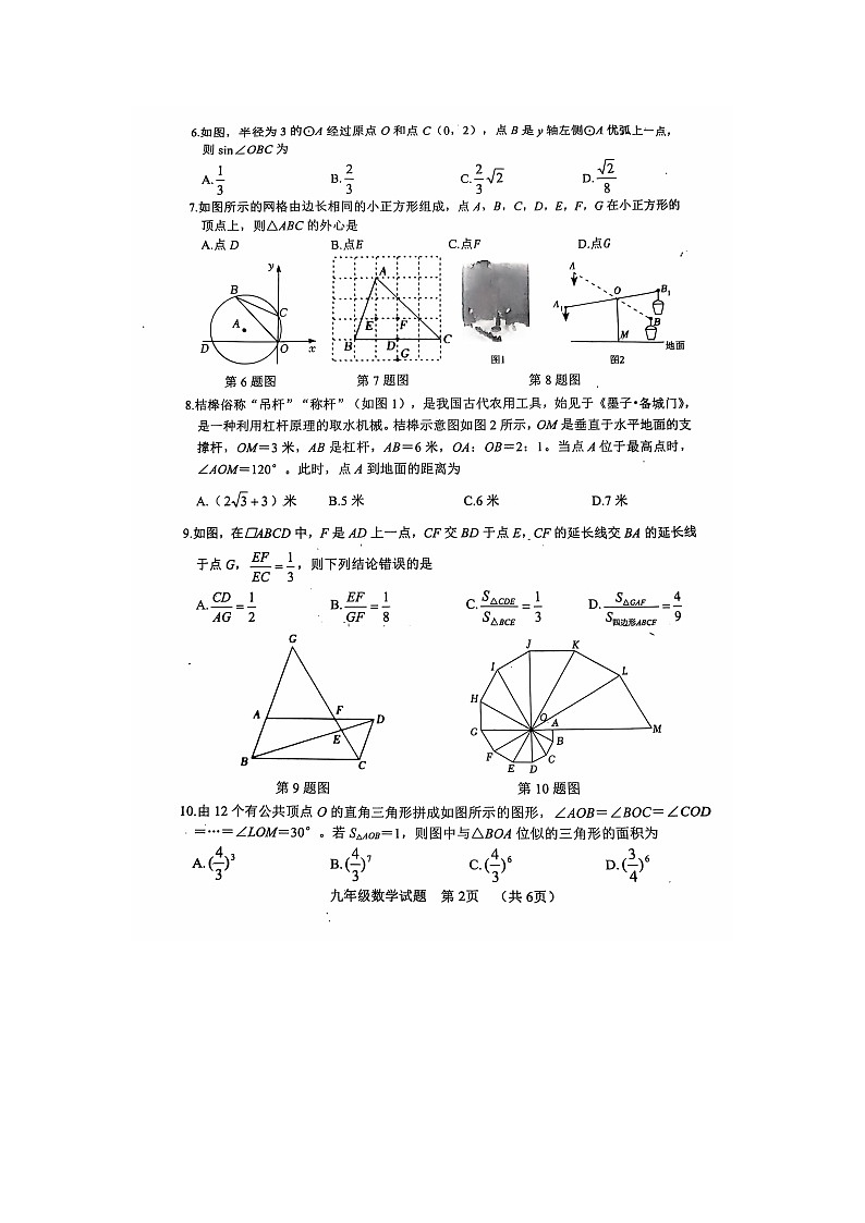 山东省聊城市东阿县2024-2025学年九年级上学期期中考试数学试题02