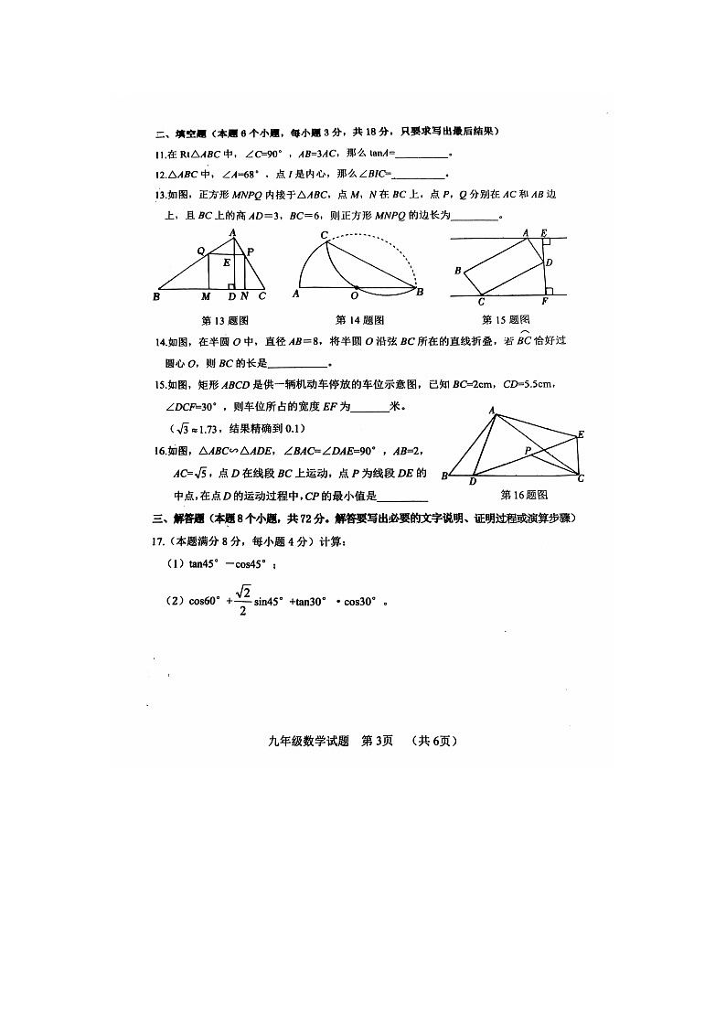 山东省聊城市东阿县2024-2025学年九年级上学期期中考试数学试题03