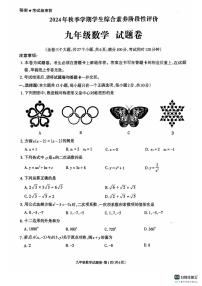 云南省昭通市昭阳区2024-2025学年九年级上学期11月期中数学试题