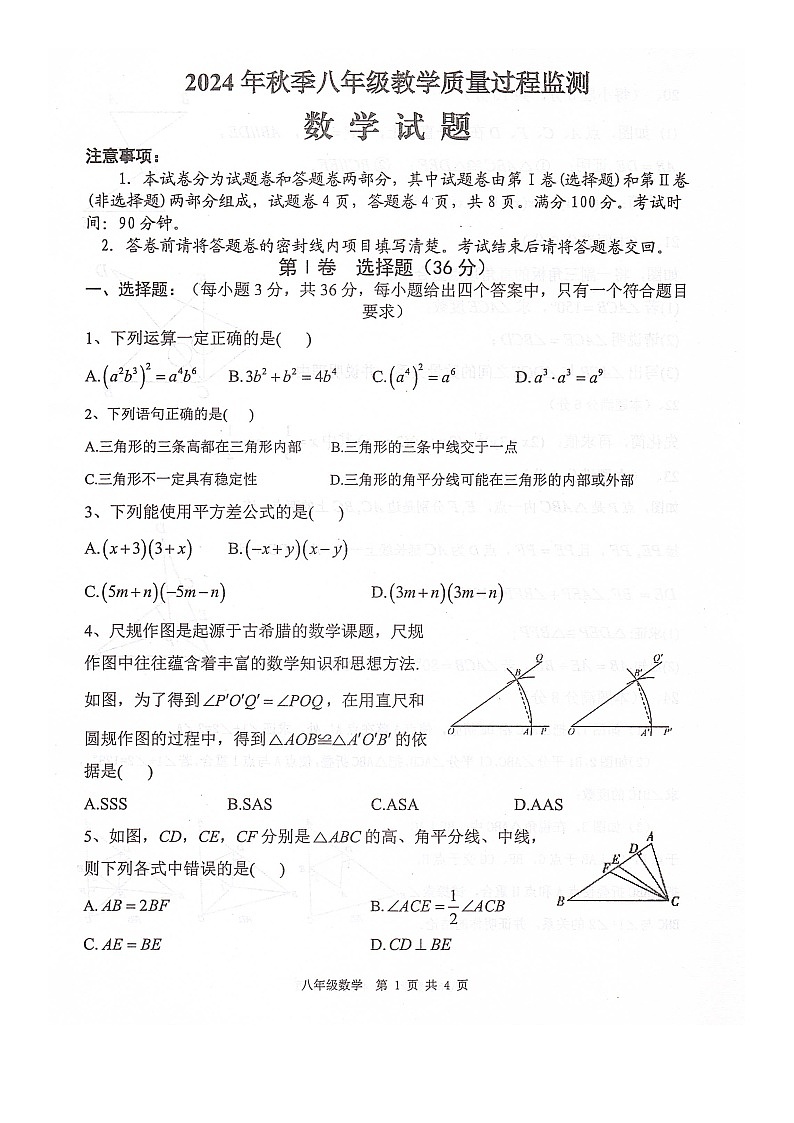 四川省绵阳市江油市2024-2025学年八年级上学期11月期中考试数学试题第1页