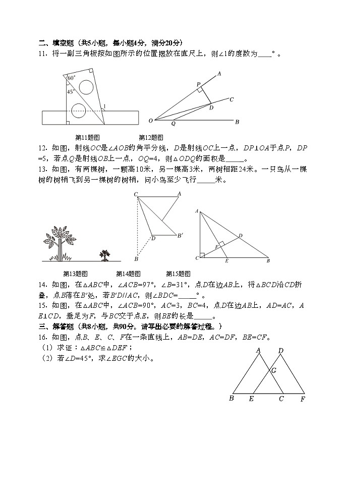 七年级期中数学试题202411第3页