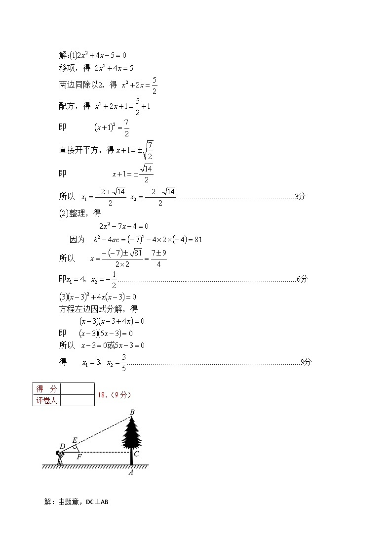 2024秋期中 九数-参考答案(3)第2页