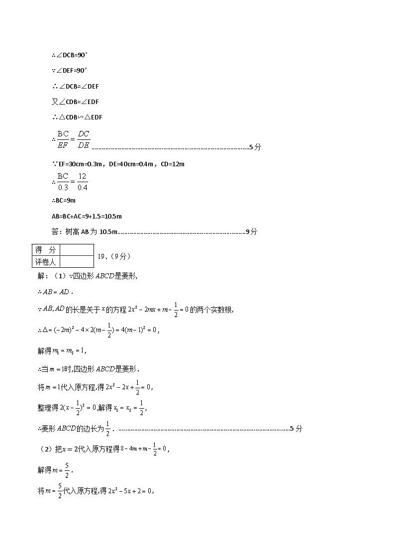 2024秋期中 九数-参考答案(3)第3页
