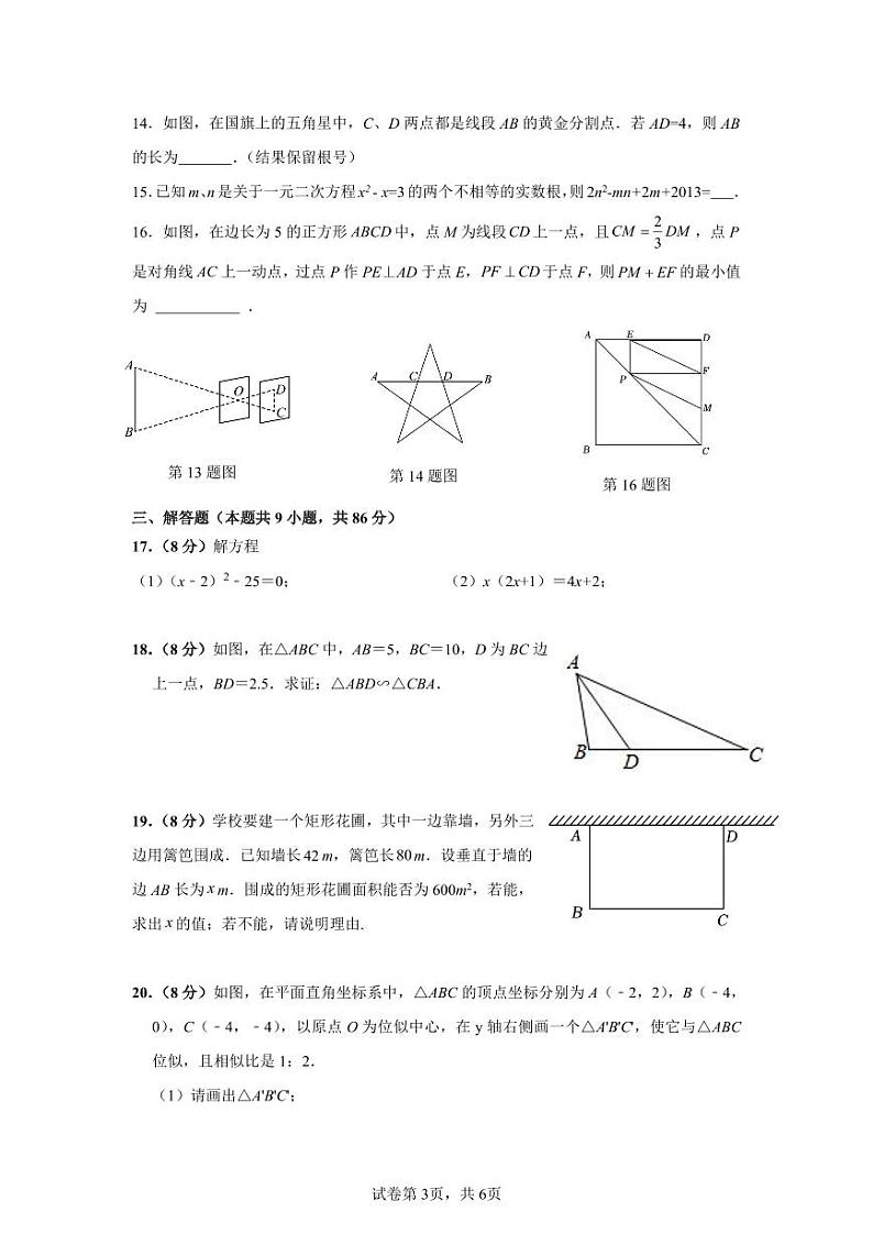+福建省漳州第一中学2024-2025学年九年级上学期11月期中数学试题第3页