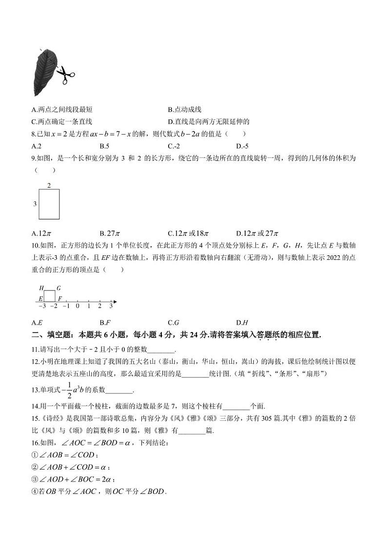 福建省漳州市2022-2023学年七年级上学期期末（北师大版A卷）数学试题第2页
