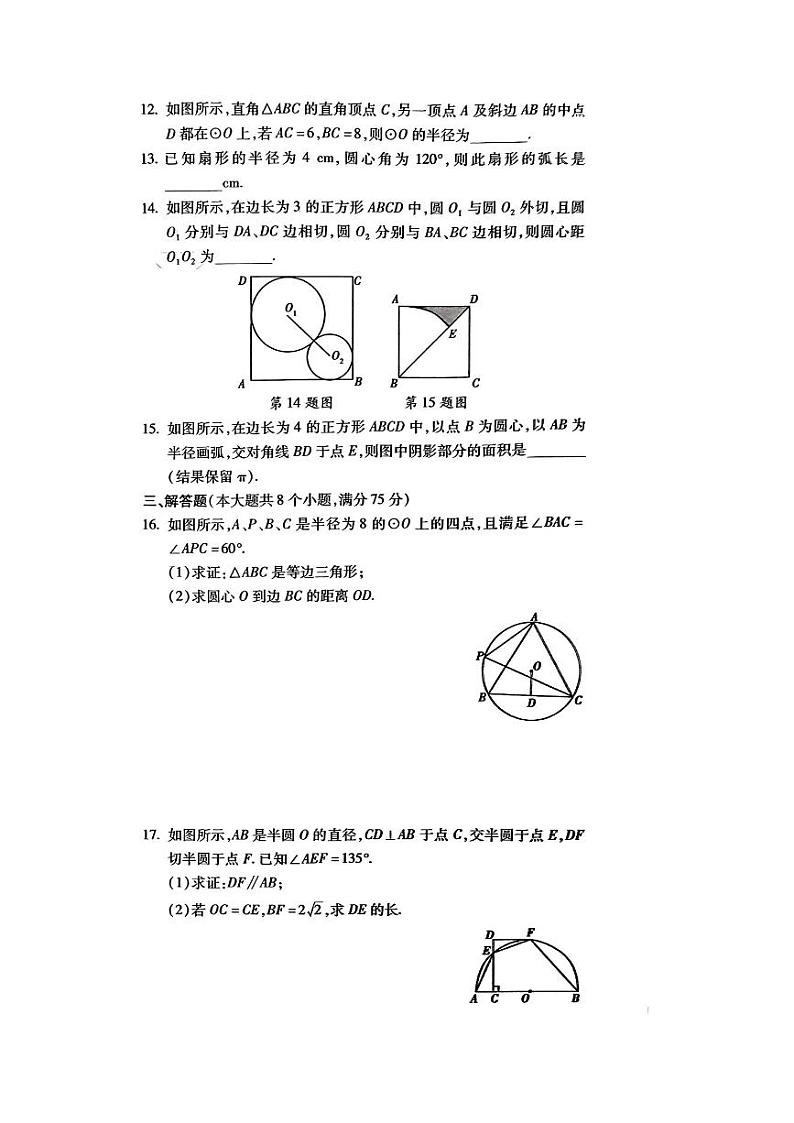 2023-2024学年河南省信阳市罗山二中九年级（上）月考数学试卷（12月份）第3页