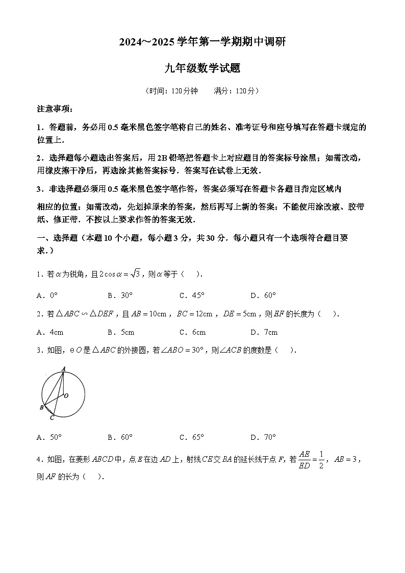 山东省聊城市东阿县2024-2025学年九年级上学期期中考试数学试题01