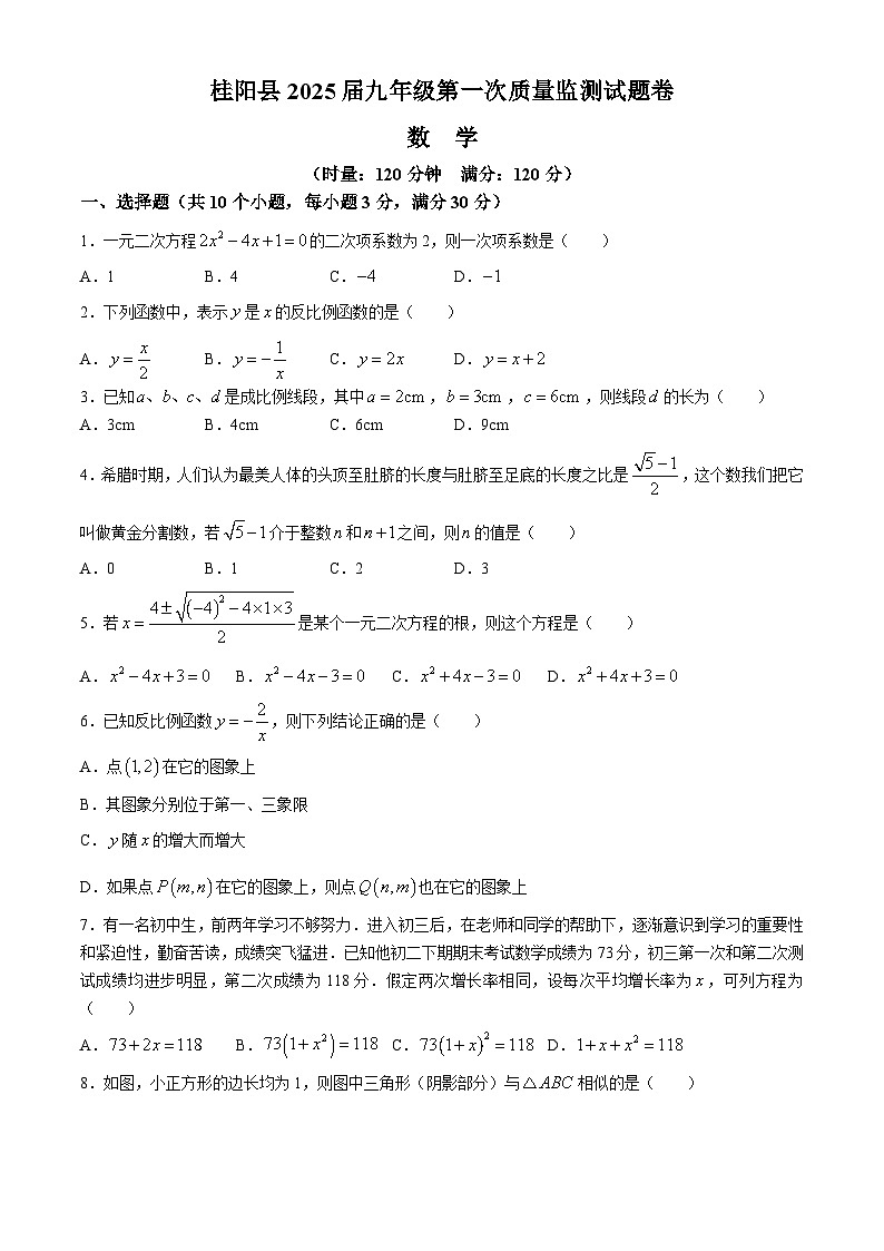 湖南省郴州市桂阳县2024-2025学年九年级上学期11月期中考试数学试题(无答案)01