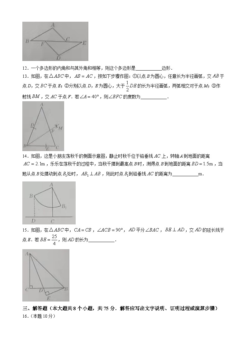 山西省朔州市右玉县右玉教育集团初中部2024-2025学年八年级上学期11月期中数学试题03