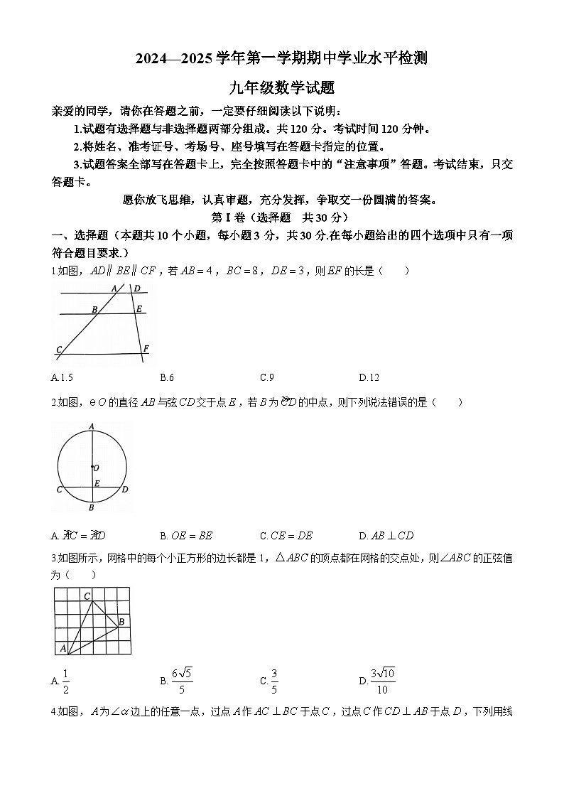山东省聊城市冠县2024-2025学年九年级上学期11月期中考试数学试题01