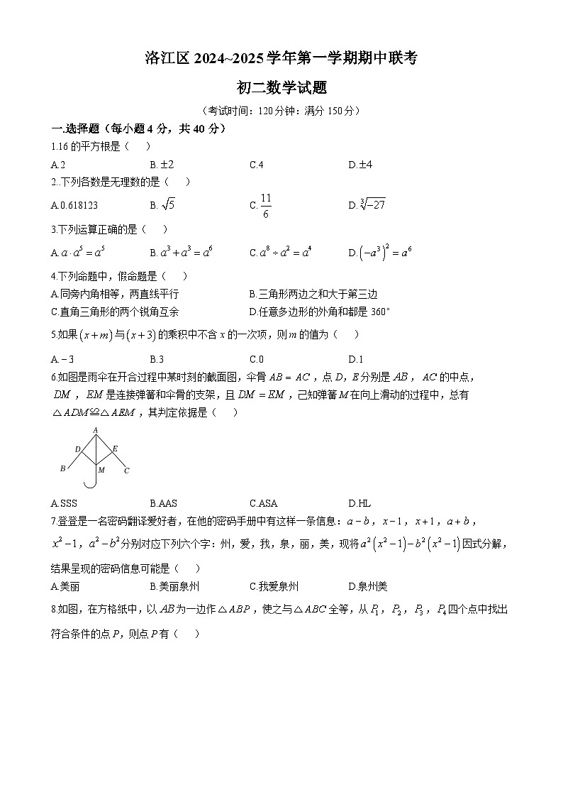 福建省 泉州洛江区 2024-2025学年上学期八年级数学期中联考质量检测卷第1页