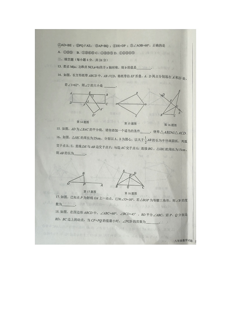 山东省德州市陵城区2024-2025学年8年级上学期期中数学试题 第3页